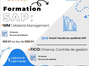 Formation SAP FICO / SAP MM Tunis Tunisie
