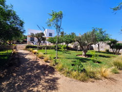 jardin
