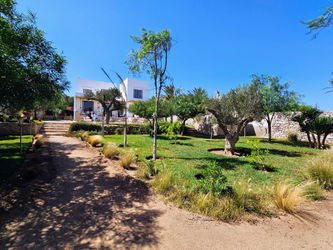jardin