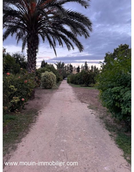 ferme a vendre à beni Khaled