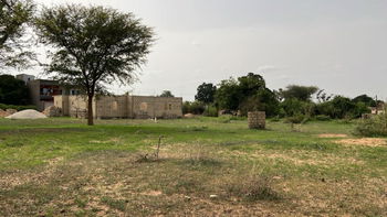 terrain 300 mètres carrés  à vendre à Malicounda