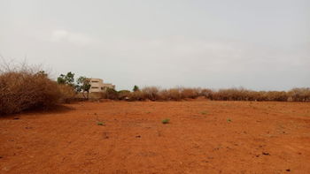 terrains de 225 mètres carrés  à vendre à Sindia