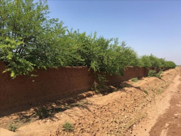 Vente ferme 4 5ha plantée sidi abdellah ghiyate Marrakech Maroc