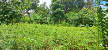 Terrain à vendre à Ampefy 1175m2