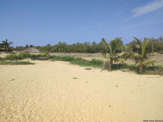 Vente Terrain mer Tsingoritelo proche Mangily 17 km Tuléar Madagascar