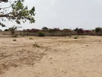 Vente PLUSIEURS TERRAINS 600M2 NGUERIGUE PEULH Somone Sénégal