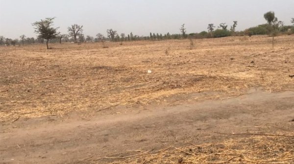 Vente Terrains 4 hectares Sandiara M'Bour Sénégal