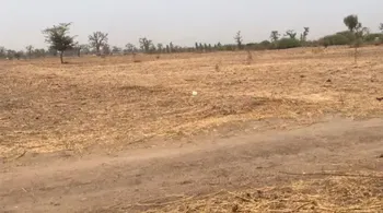 Vente Terrains 4 hectares Sandiara M&#039;Bour Sénégal