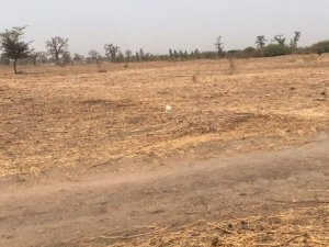 Vente Terrains 4 hectares Sandiara M&#039;Bour Sénégal