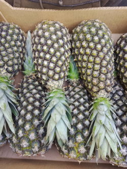 CARTON D ANANAS