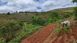 Propriétaire direct VEND  Un grand terrain de 29.750 m2 (2Ha97ca50a)  à 3km d'ambatolampikely RN2. Accessible, bord de route . Électricité et eau à proximité.  - Idéal pour projet agricole - Espace ( Loisirs, Auberge, sns ... ) - Grande usine  Papier (Titré, borné) 50.000Ar/m2 Contact : 033 76 085 86