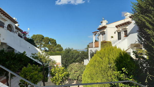 la végétation autour de l'appartement