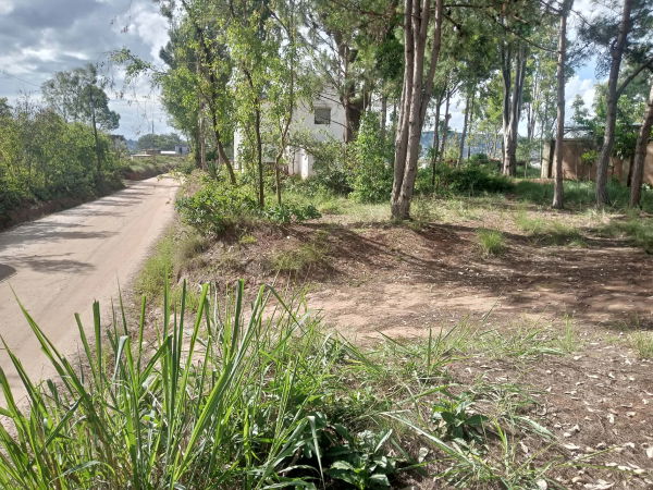 VENTE BEHITSY AMBOHIMANGAKELY 870M2