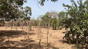 terrains 600 mètres carrés  à vendre à Saly