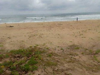 Annonce Vente TERRAIN 6Ha MER FOULPOINTE TOAMASINA Madagascar