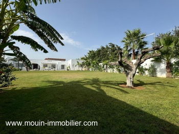 Annonce location VILLA RANIA Zone Théâtre Hammamet Tunisie