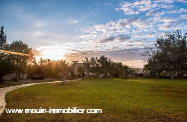 villa à vendre à hammamet el monchar