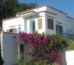 Vue d'ensemble