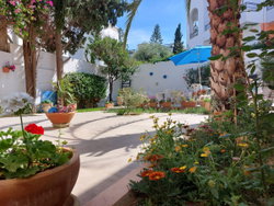 Jardin