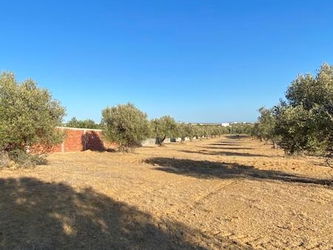 Vente TERRAIN MAYAR Hammamet El Monchar Tunisie