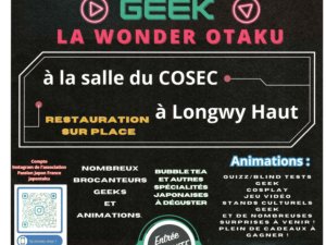 Brocante Geek &quot;La Wonder Otaku&quot; Longwy Meurthe et Moselle