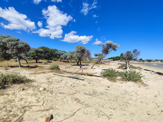 Photo de l'intérieur