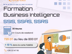 Formation BI Business Intelligence Tunis Tunisie