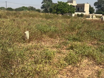 lot de 4 terrain de 300 m2 à Warang