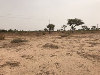 Vente HECTARES NGOLAR Thies Sénégal
