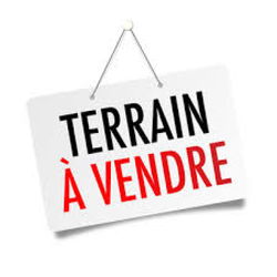 TERRAIN