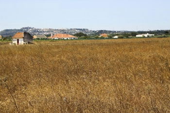 Vente Terrain 35 839 m2 dans Pinhal Novo Lisboa Portugal