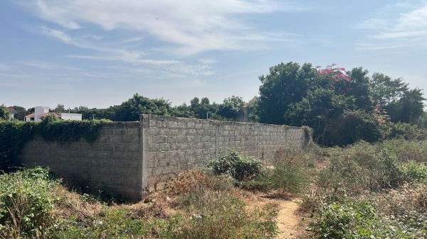 Maison familiale Bruxelles