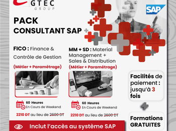 Pack Formation SAP FICO L&#039;Ariana Tunisie