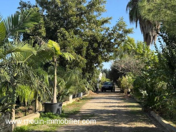 Villa moderne avec piscine