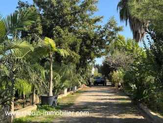 ferme a vendre à beni Khaled