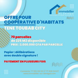 Terrains 225m2 à Téne toubab city
