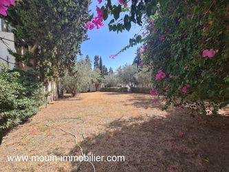Vente villa talia tl hammamet nord Tunisie