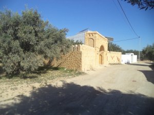 Vente beau terrain 350m 5min hammamet yasmine Tunisie