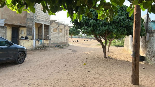 terrain 300 mètres carrés  à vendre à Mbour