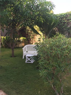mbour saly