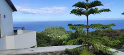 vue du jardin