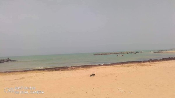 Vente Terrain d'1ha pieds dans l'eau warang M'Bour Sénégal