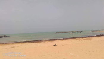 Vente Terrain d&#039;1ha pieds dans l&#039;eau warang M&#039;Bour Sénégal