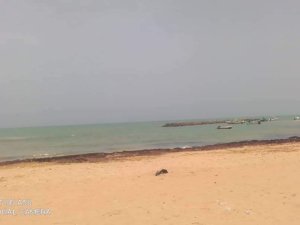 Vente terrain d&#039;1ha pieds dans l&#039;eau warang M&#039;Bour Sénégal