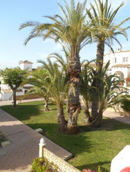 VUE SUR JARDIN