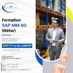 sap mm +sd
