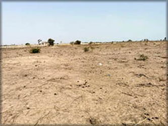 Vente TERRAINS NGUERIGUE PEULH Somone Sénégal