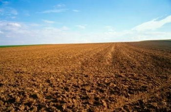 Vente TERRAIN AGRICOLE 60HA TITRE Marrakech Maroc