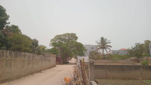 Terrain 600 mètres carrés à vendre à Saly
