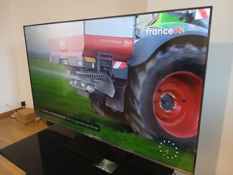 TCL1
